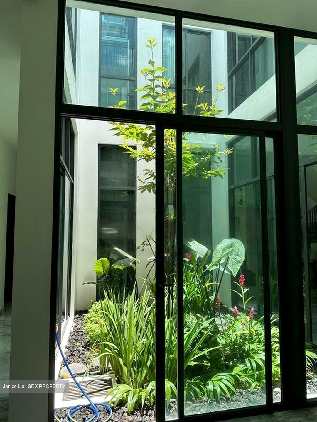 Frankel Estate (D15), Detached #472230891